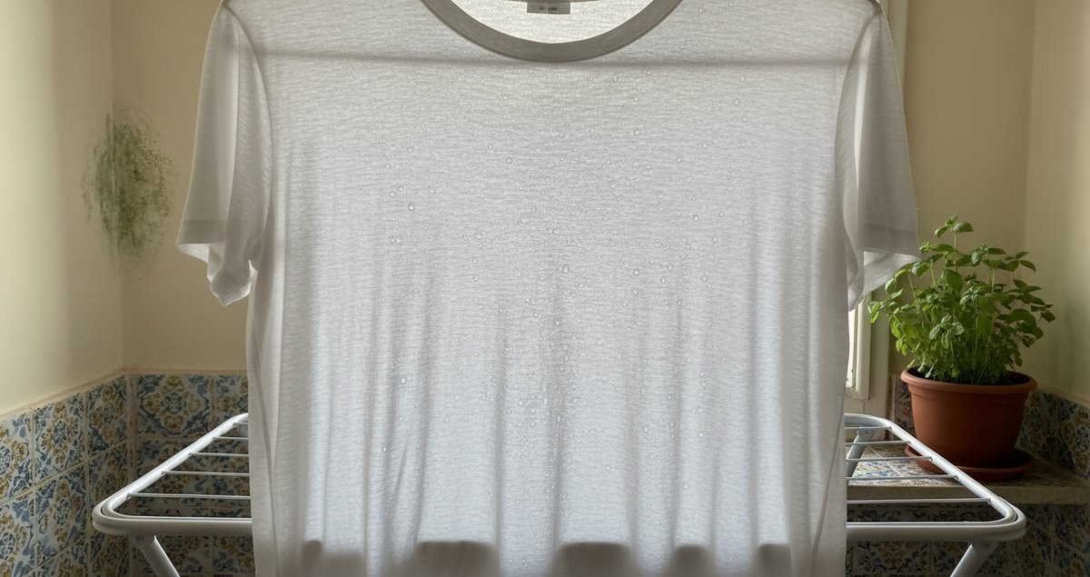 asciugare-i-panni-in-casa-qualita-aria-muffa-rischi