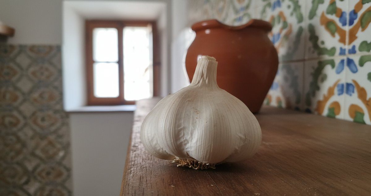 il-posto-migliore-per-conservare-l-aglio