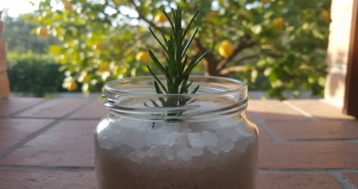 rosemary-and-coarse-salt-in-one-jar-trucco-geniale-o-moda-pericolosa